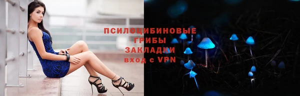 прущие крисы Козельск