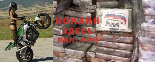 прущие крисы Козельск